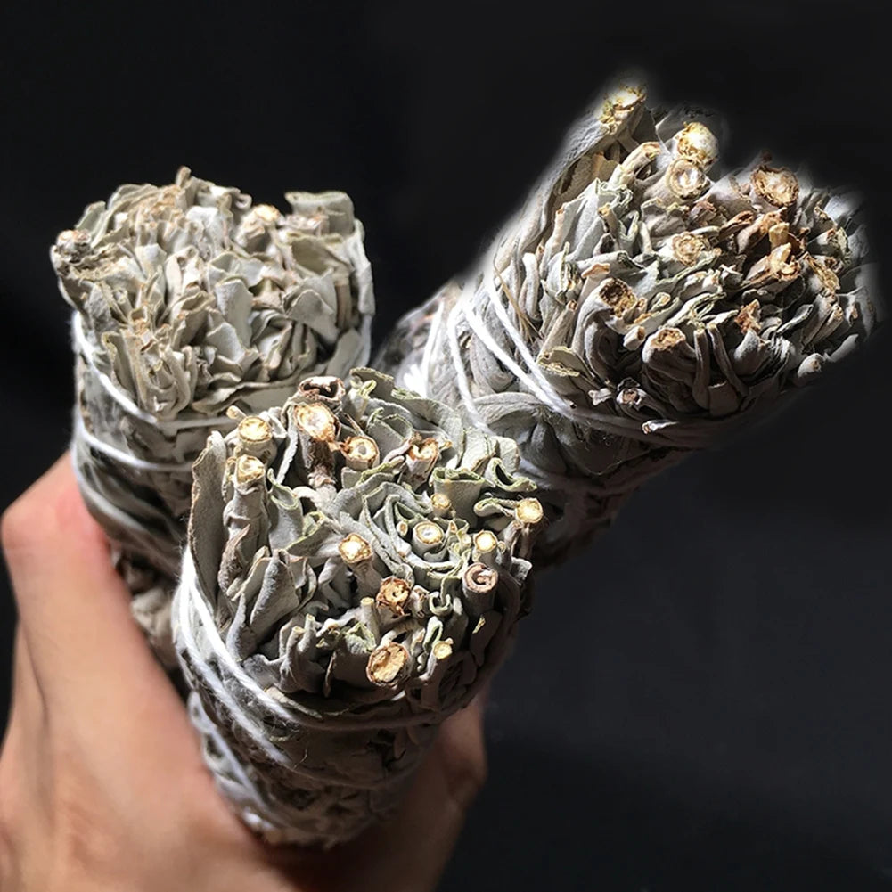 L’Intégrale – 6 bâtons de Sauge Blanche Purificatrice – Rituel Sacré
