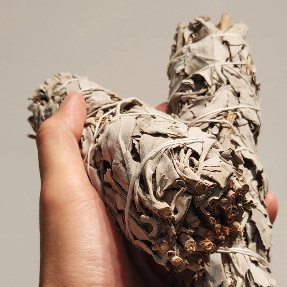 L’Intégrale – 6 bâtons de Sauge Blanche Purificatrice – Rituel Sacré